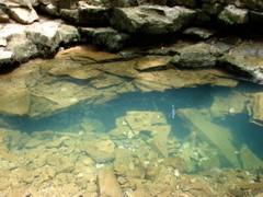 Echo River Spring