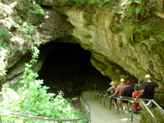 Mammoth Cave