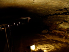 Mammoth Cave