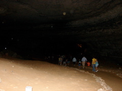 Mammoth Cave