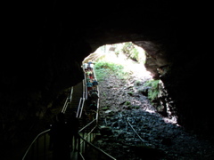 Mammoth Cave