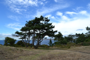 Fort Casey State Park