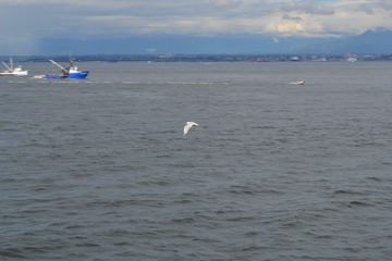 Clinton-Mukilteo Ferry
